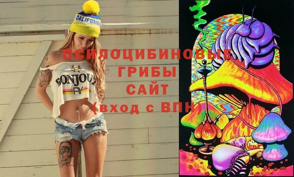 крисы Медногорск