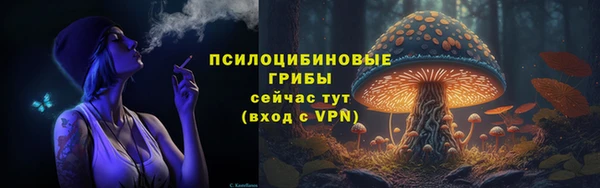 крисы Медногорск