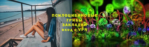 крисы Медногорск