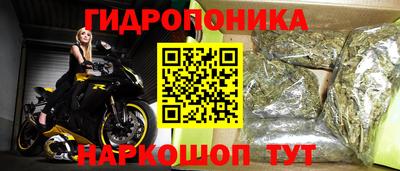 индика Абакан