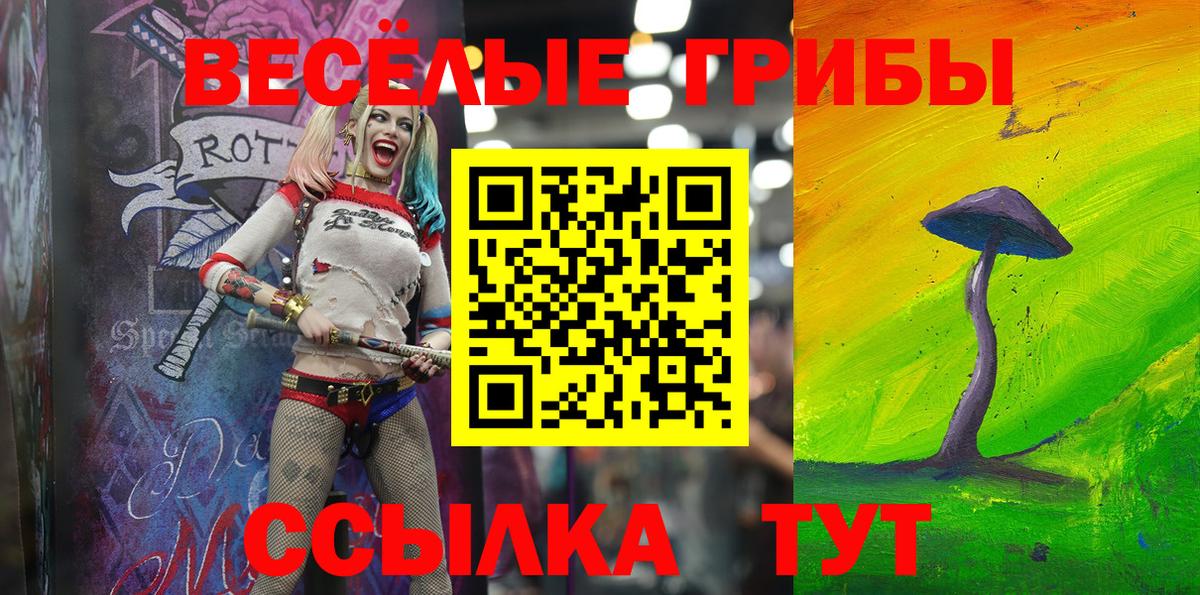 Псилоцибиновые грибы ЛСД  Вход с VPN  Урюпинск  купить наркотик  Псилоцибиновые грибы Psilocybe 