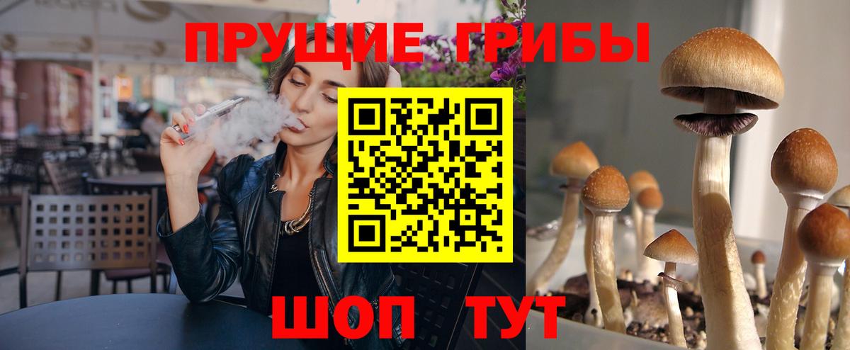 Галлюциногенные грибы мицелий Урюпинск