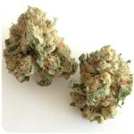 Шишки "White Widow"  (Белая вдова)  Гидропоника -  Бошка VHQ в Урюпинске